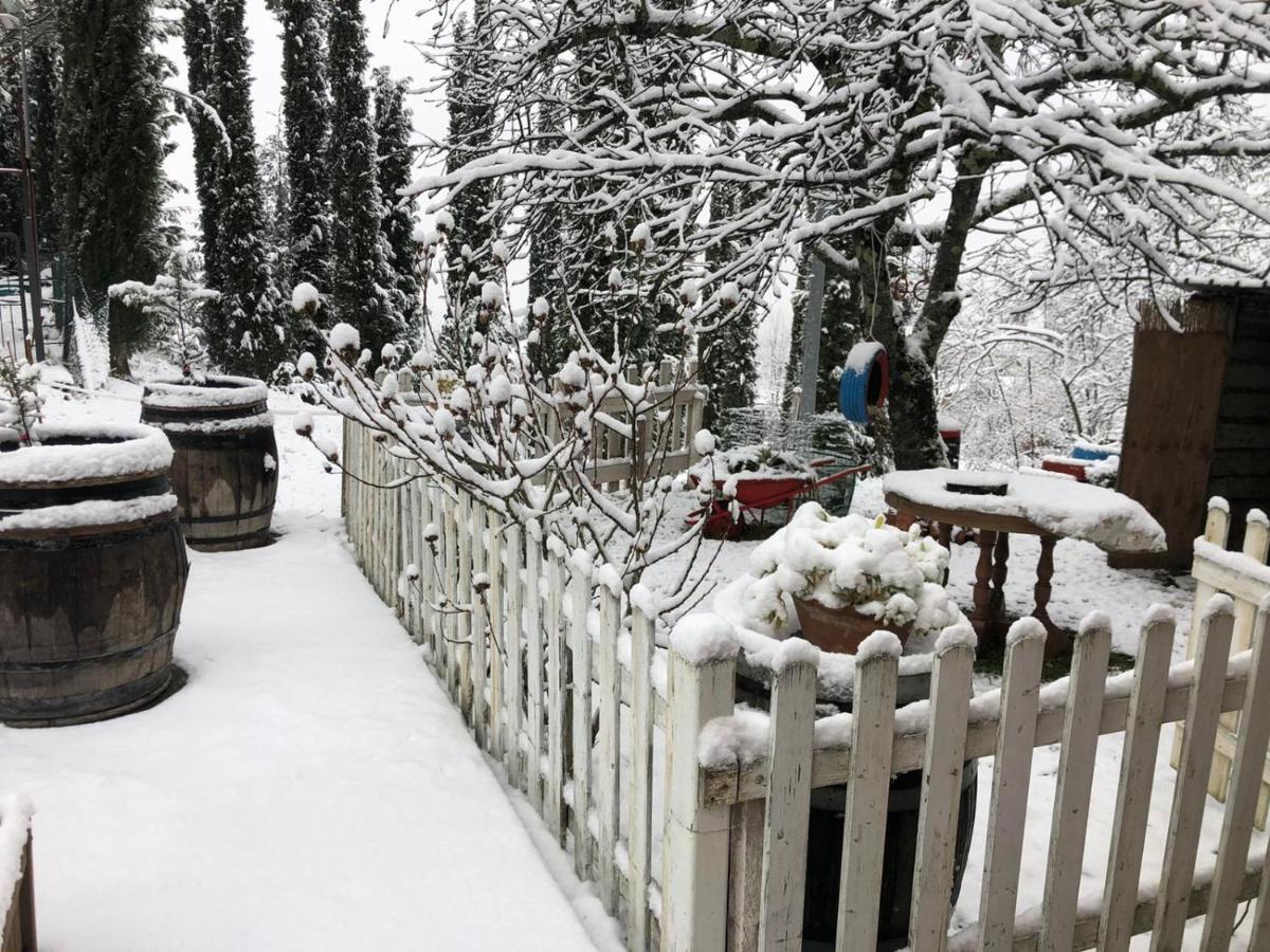 La Casa Di Nonno Daire Pelago Dış mekan fotoğraf